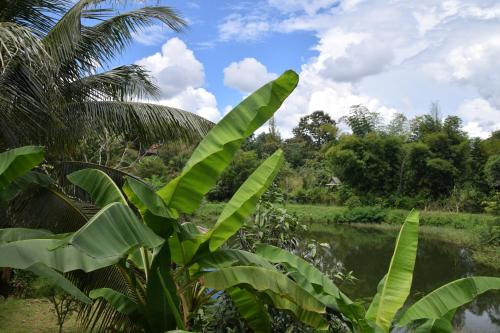 Oasis Pai Resort – Pai, ND
