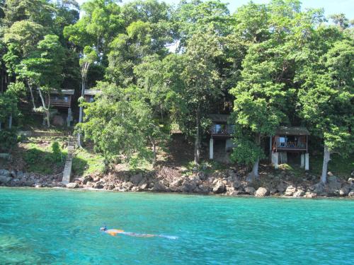 Treetop Guesthouse and Bungalows