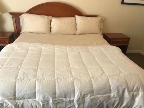 RED CARPET INN, ALEXANDRIA – Alexandria, VA
