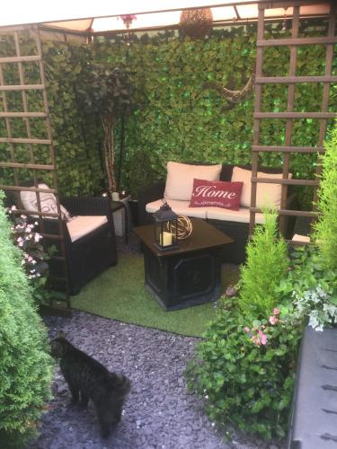 Brookside Hotel & Residents Bar , Cozy lounge areas & Terrace ,Suitable for Solo Travelers Couples Educational Groups Families & Contractors welcome 2