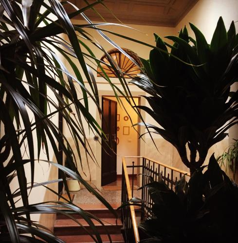 BLQ 01boutique B&B - main image