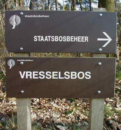 't Nagtegaeltje