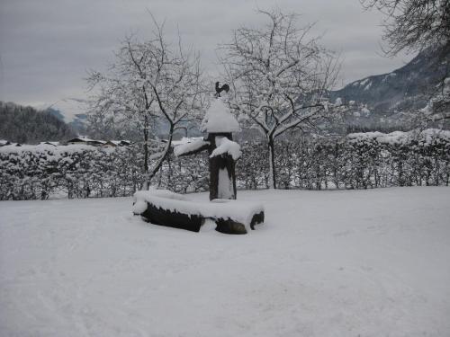 Hoferbauergut - image 14