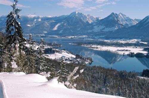 Hoferbauergut - image 3