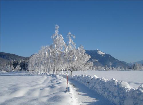 Hoferbauergut - image 10