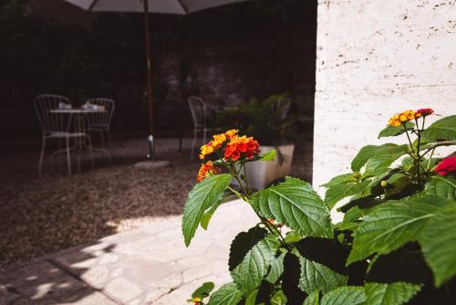 Circo Massimo Guest House - image 8