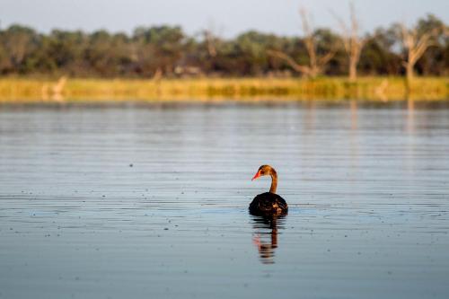 Discovery Parks - Lake Bonney