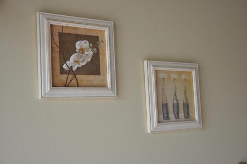 B&B Knotwilgenhoeve - image 6
