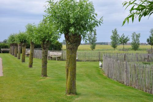 B&B Knotwilgenhoeve photo 4