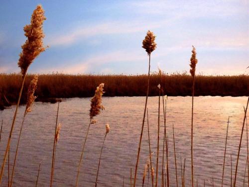 Hotel Nationalpark – Illmitz, LA