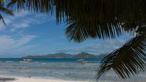 فيلات أنس سيفير بيتش فيلات أنس سيفير بيتش