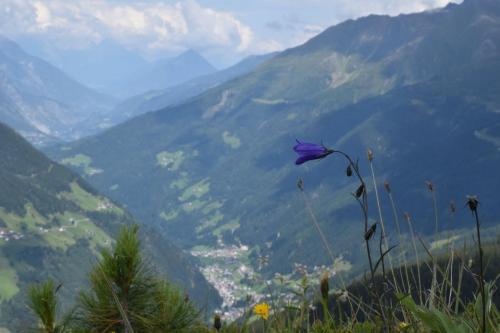 Ferienwohnungen Reinalter in Oberhaus