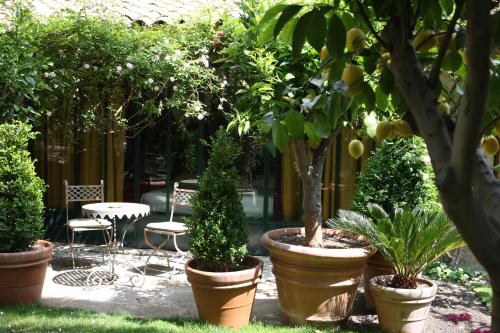 Jardins Secrets - image 4