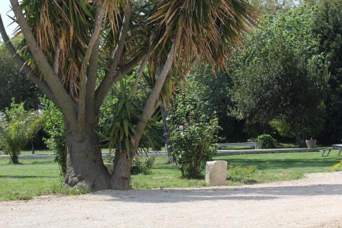 Mas de Bouvet en Camargue - image 13