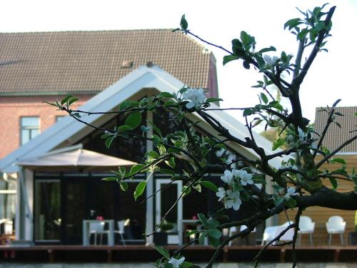 Residence La Vie en Rose - image 6