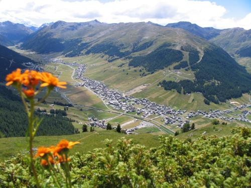 Chalet Nada - image 9