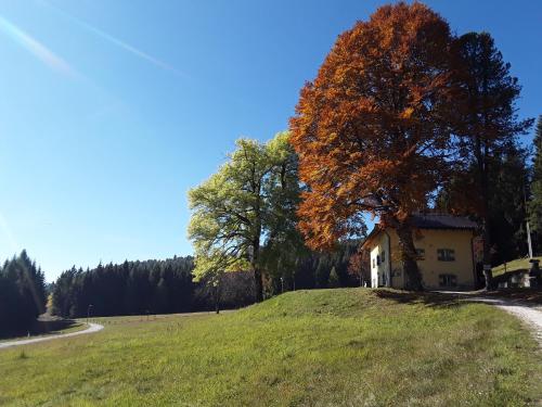 Chalet Musiera - Baselga di Pine