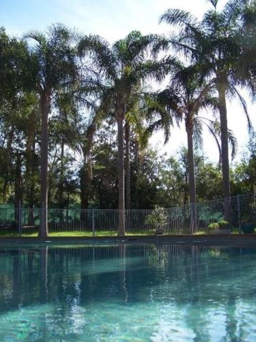 a large pool of water with trees, Abcot Inn in Sydney