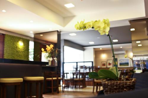 115817995 Blue Hill Hotel