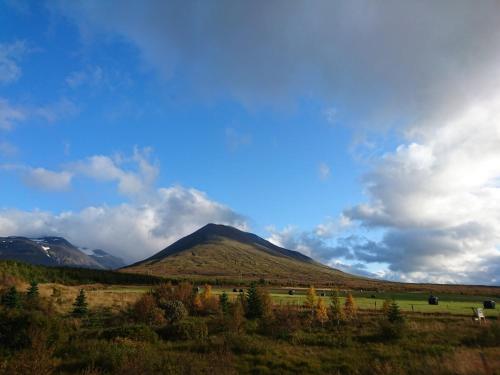 Stora Sandfell Rooms and Cottages - image 13