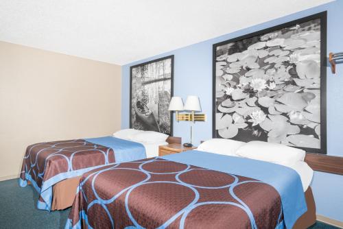 Super 8 by Wyndham Little Falls - image 3