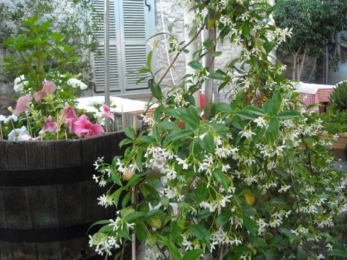 Theano Guesthouse - image 3