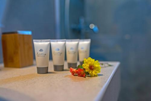 Casa Sofia, By Hellocrete Casa Sofia, By Hellocrete