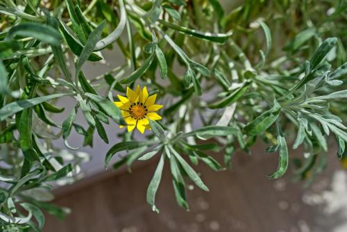 Casa Sofia, By Hellocrete Casa Sofia, By Hellocrete