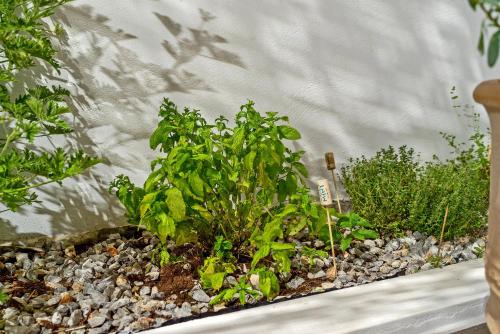 Casa Sofia, By Hellocrete Casa Sofia, By Hellocrete