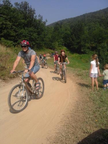 Country House Eco village Ćorić - image 4