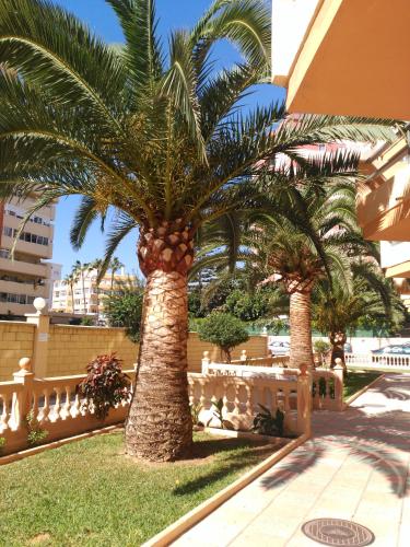Veramar 3, Fuengirola (foto 2)