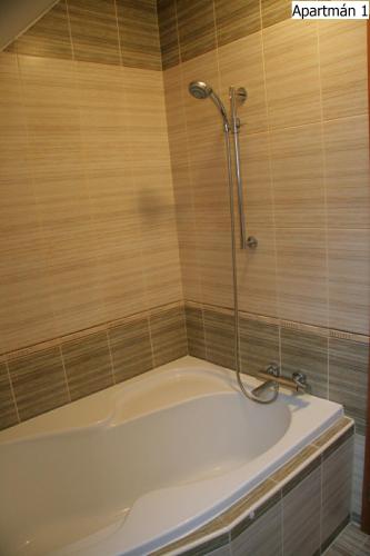 Apartmány Horní Planá - image 9