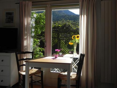 Apartment in Interlaken 
