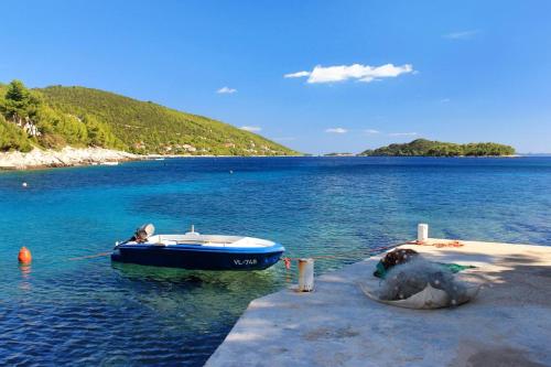 Apartments by the sea Cove Zaglav Korcula - 9320 - main image