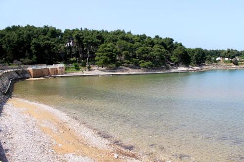 Apartments with a parking space Jelsa Hvar - 4589 - image 3
