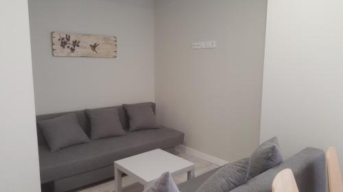 Apartamentos Logroño Centro