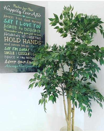 杜兹旅馆 杜兹旅馆