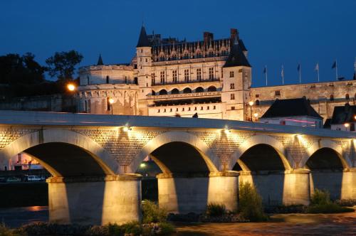 VVF Villages « Les Châteaux de la Loire » Amboise - image 9