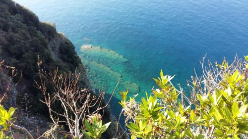 La Terrazza Sul Blu