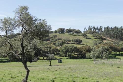 Casa Rural El Tejar