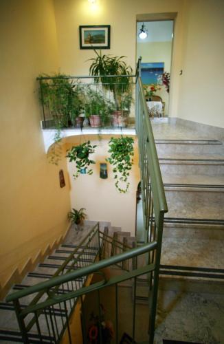 Albergo Bouganville – Favignana Island, CA