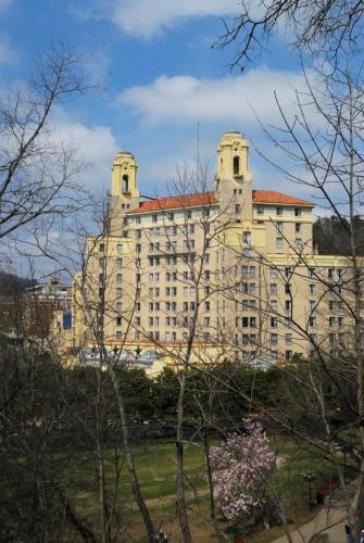 Arlington Resort Hotel & Spa - image 3