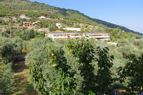 Athina - image 5