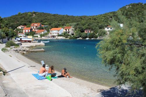  Apartment Zrnovska Banja 11510b in Korčula