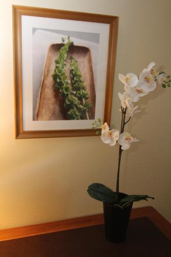 Pii Hotel