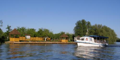 Pelican City - image 3