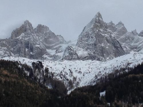 Eden Hotel Apartments and Chalet Chamonix Les Praz - image 3