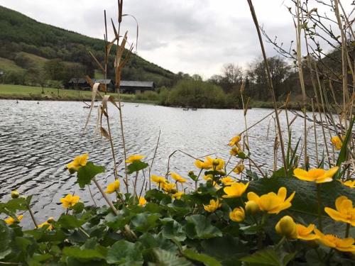 Cwm Chwefru Holiday Cottages