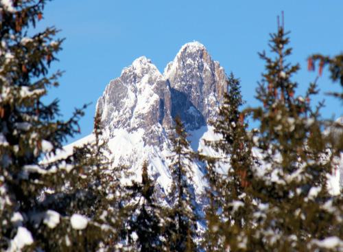 Haus Lowe - image 11