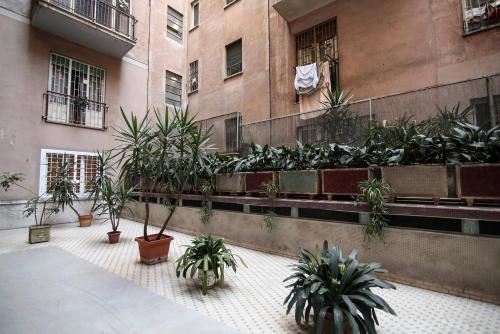 MC Guest House 5